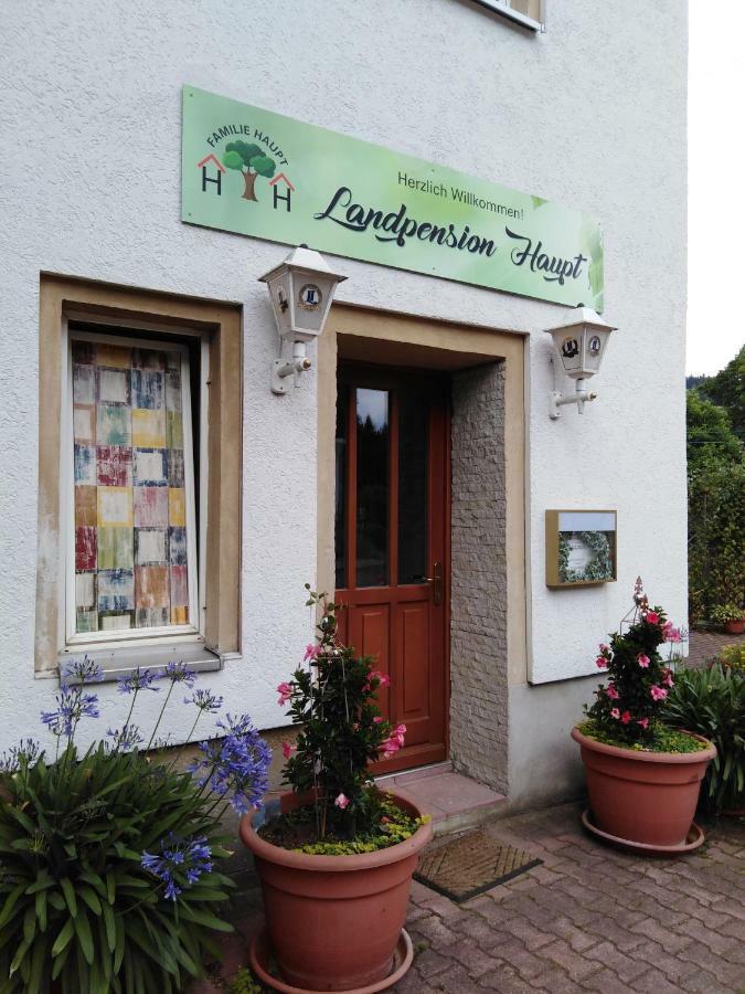 Landpension Haupt Sebnitz Exterior foto