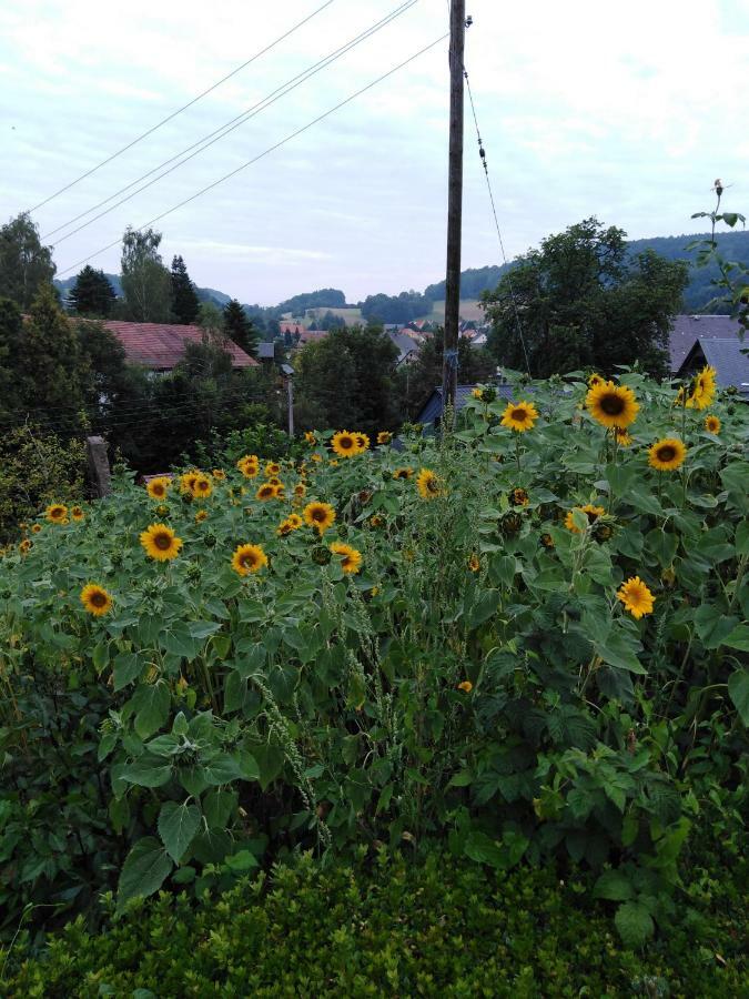 Landpension Haupt Sebnitz Exterior foto